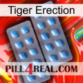 Tiger Erection viagra4